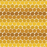 Bee Haven, Honeycomb (Sold By 1/2 Meter)